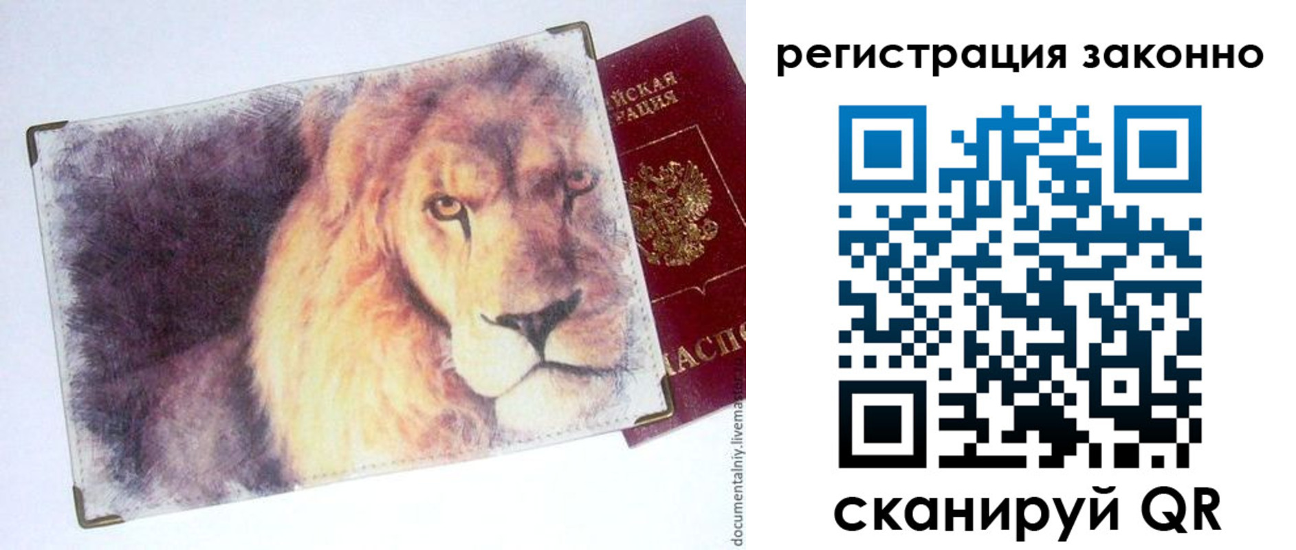 прописка гарантия в Клинцах