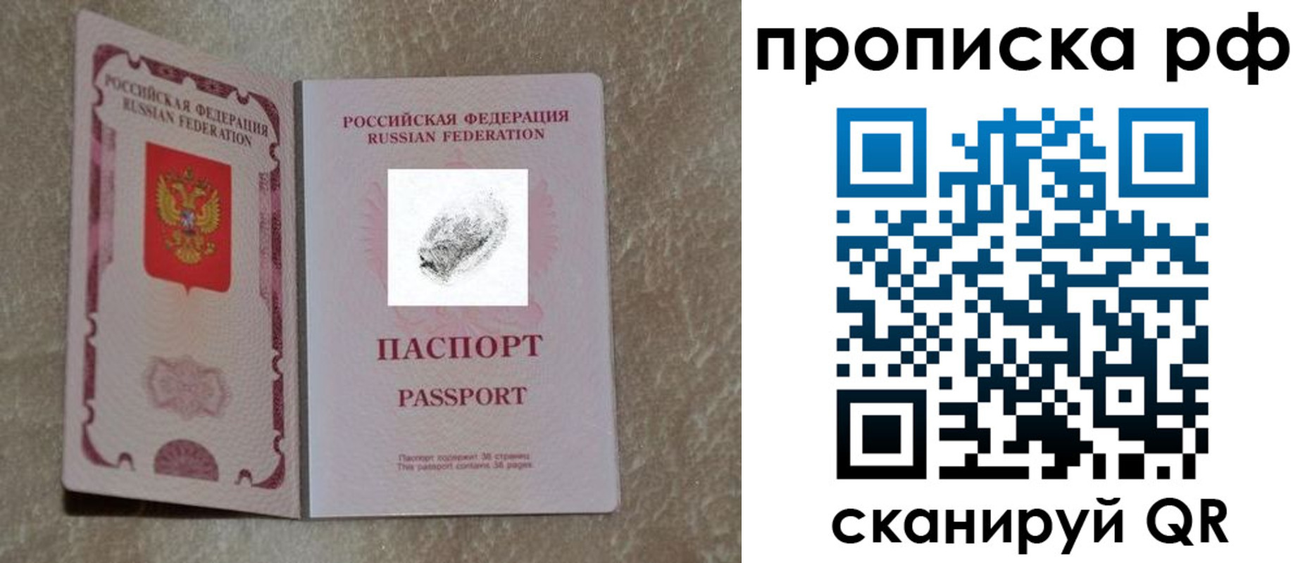 прописка поиск в Клинцах
